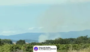 Incendie à Sallèles-d'Aude (11) : le feu est éteint