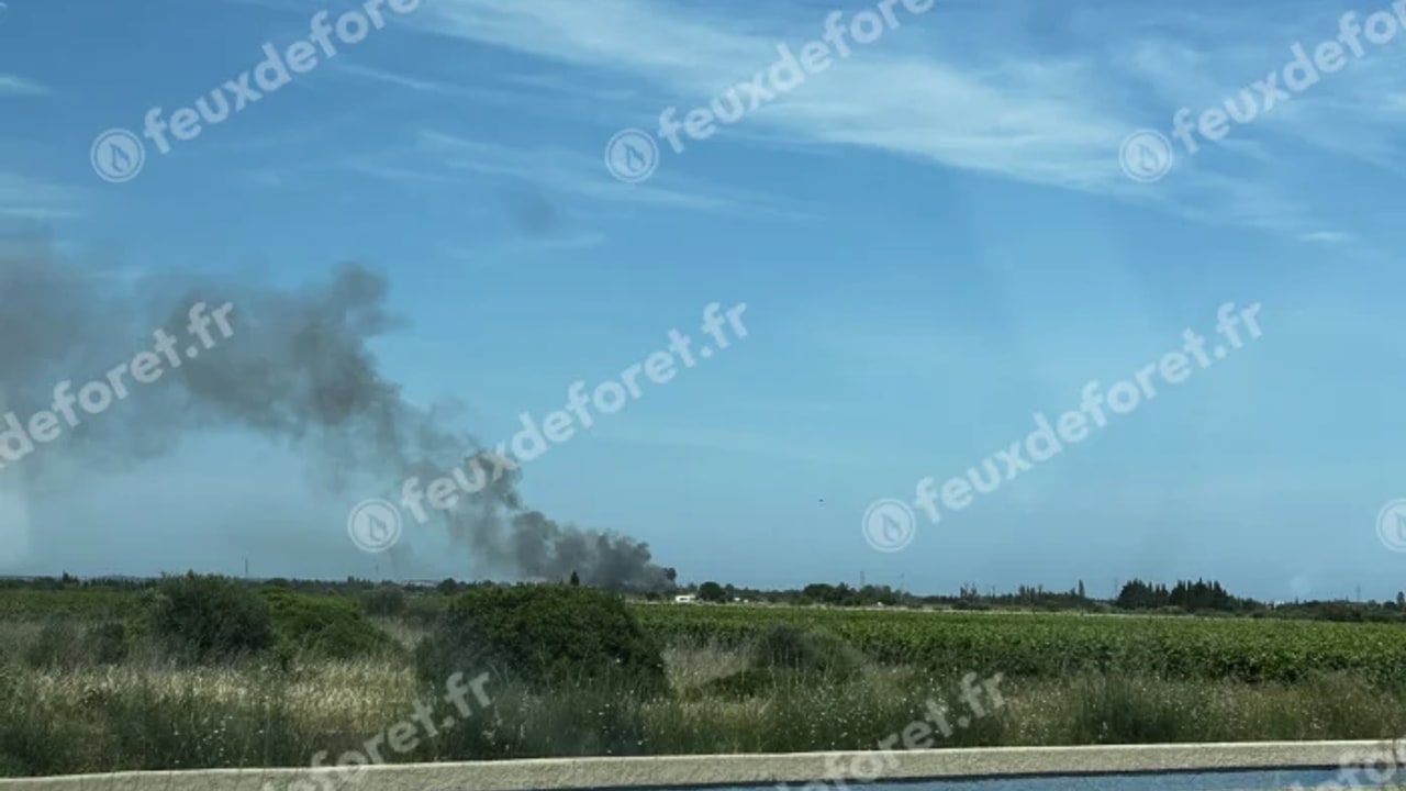 Incendie à Saint-Hippolyte - Pyrénées-Orientales - 6 juin 2026 - Feux de forêts et d'espaces naturels
