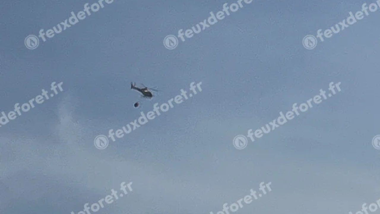 Incendie à Saint-Hippolyte - Pyrénées-Orientales - 6 juin 2026 - Feux de forêts et d'espaces naturels