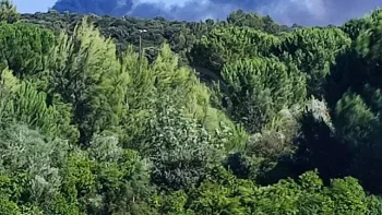 Incendie à Milhaud - Gard - 2 juillet 2026 - Feux de forêts et d'espaces naturels