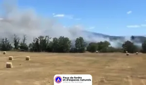 Incendie à Saint-Jean-du-Falga (09) : les pompiers interviennent