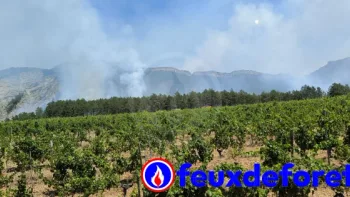 Incendie à Die - Drôme - 2 juillet 2026 - Feux de forêts et d'espaces naturels