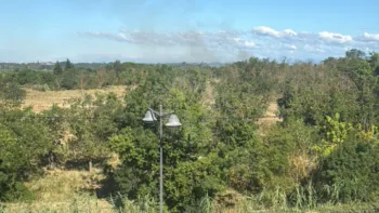 Incendie à Agde - Hérault - 3 juillet 2026 - Feux de forêts et d'espaces naturels