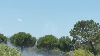 Incendie à Saint-Laurent-de-la-Salanque - Pyrénées-Orientales - 3 juillet 2026 - Feux de forêts et d'espaces naturels