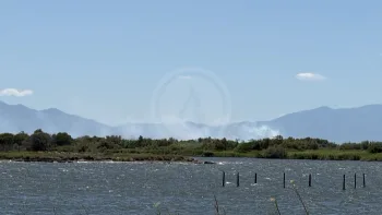 Incendie à Saint-Laurent-de-la-Salanque - Pyrénées-Orientales - 3 juillet 2026 - Feux de forêts et d'espaces naturels