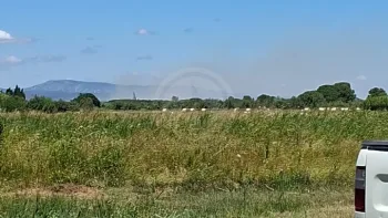 Incendie à Saint-Laurent-de-la-Salanque - Pyrénées-Orientales - 3 juillet 2026 - Feux de forêts et d'espaces naturels
