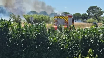 Incendie à Saint-Laurent-de-la-Salanque - Pyrénées-Orientales - 3 juillet 2026 - Feux de forêts et d'espaces naturels