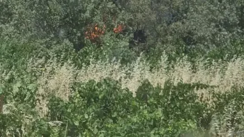 Incendie à Trausse - Aude - 3 juillet 2026 - Feux de forêts et d'espaces naturels