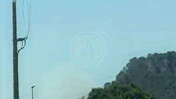 Incendie à Saint-Gervais - Gard - 3 juillet 2026 - Feux de forêts et d'espaces naturels