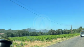 Incendie à Saint-Gervais - Gard - 3 juillet 2026 - Feux de forêts et d'espaces naturels
