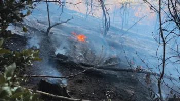 Incendie à Saint-Gervais - Gard - 3 juillet 2026 - Feux de forêts et d'espaces naturels