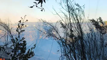 Incendie à Saint-Gervais - Gard - 3 juillet 2026 - Feux de forêts et d'espaces naturels