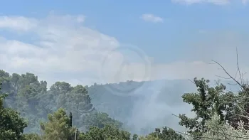 Incendie à Besse-sur-Issole - Var - 3 juillet 2026 - Feux de forêts et d'espaces naturels