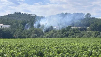 Incendie à Besse-sur-Issole - Var - 3 juillet 2026 - Feux de forêts et d'espaces naturels