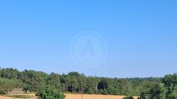 Incendie à Laillé - Ille-et-Vilaine - 3 juillet 2026 - Feux de forêts et d'espaces naturels