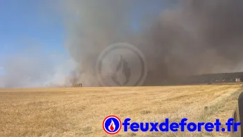 Incendie à Forges-les-Bains - Essonne - 3 juillet 2026 - Feux de forêts et d'espaces naturels