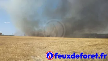 Incendie à Forges-les-Bains - Essonne - 3 juillet 2026 - Feux de forêts et d'espaces naturels