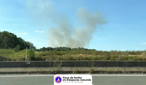 Incendie à Forges-les-Bains (91) : les pompiers interviennent