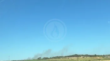 Incendie à Sauvian - Hérault - 3 juillet 2026 - Feux de forêts et d'espaces naturels