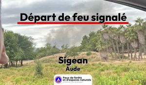 Incendie à Sigean (11) : le feu est éteint