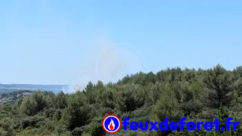 Incendie à Milhaud - Gard - 4 juillet 2026 - Feux de forêts et d'espaces naturels