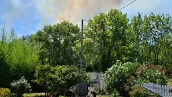 Incendie à Les Artigues-de-Lussac - Gironde - 4 juillet 2026 - Feux de forêts et d'espaces naturels