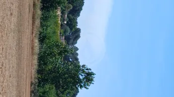 Incendie à Les Artigues-de-Lussac - Gironde - 4 juillet 2026 - Feux de forêts et d'espaces naturels