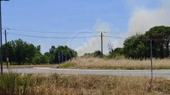 Incendie à Les Artigues-de-Lussac - Gironde - 4 juillet 2026 - Feux de forêts et d'espaces naturels