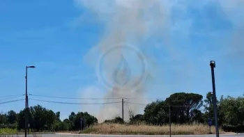 Incendie à Les Artigues-de-Lussac - Gironde - 4 juillet 2026 - Feux de forêts et d'espaces naturels