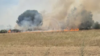 Incendie à Les Artigues-de-Lussac - Gironde - 4 juillet 2026 - Feux de forêts et d'espaces naturels