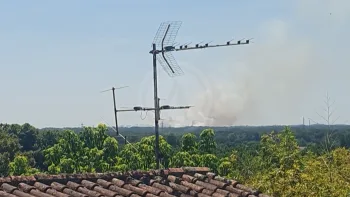 Incendie à Les Artigues-de-Lussac - Gironde - 4 juillet 2026 - Feux de forêts et d'espaces naturels