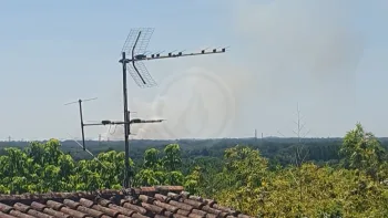 Incendie à Les Artigues-de-Lussac - Gironde - 4 juillet 2026 - Feux de forêts et d'espaces naturels