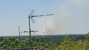 Incendie à Les Artigues-de-Lussac - Gironde - 4 juillet 2026 - Feux de forêts et d'espaces naturels
