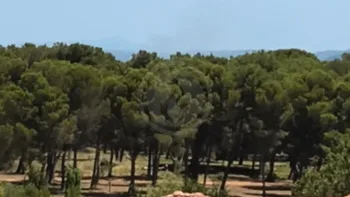 Incendie à Châteauneuf-les-Martigues - Bouches-du-Rhône - 4 juillet 2026 - Feux de forêts et d'espaces naturels
