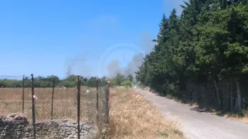 Incendie à Châteauneuf-les-Martigues - Bouches-du-Rhône - 4 juillet 2026 - Feux de forêts et d'espaces naturels