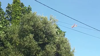 Incendie à Rochefort-du-Gard - Gard - 4 juillet 2026 - Feux de forêts et d'espaces naturels