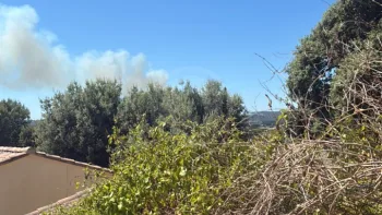 Incendie à Rochefort-du-Gard - Gard - 4 juillet 2026 - Feux de forêts et d'espaces naturels
