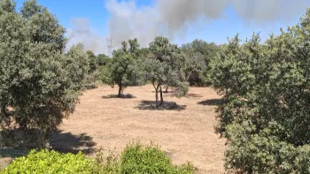 Incendie à Rochefort-du-Gard - Gard - 4 juillet 2026 - Feux de forêts et d'espaces naturels