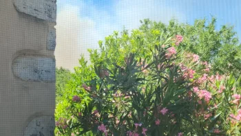 Incendie à Rochefort-du-Gard - Gard - 4 juillet 2026 - Feux de forêts et d'espaces naturels