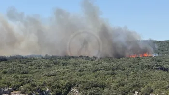 Incendie à Rochefort-du-Gard - Gard - 4 juillet 2026 - Feux de forêts et d'espaces naturels