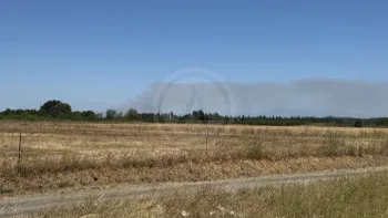Incendie à Rochefort-du-Gard - Gard - 4 juillet 2026 - Feux de forêts et d'espaces naturels