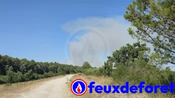 Incendie à Rochefort-du-Gard - Gard - 4 juillet 2026 - Feux de forêts et d'espaces naturels