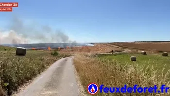 Incendie à Chaudon - Eure-et-Loir - 4 juillet 2026 - Feux de forêts et d'espaces naturels