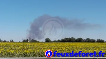Incendie à Arçay - Vienne - 4 juillet 2026 - Feux de forêts et d'espaces naturels