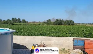 Incendie à Ginestas (11) : les pompiers interviennent