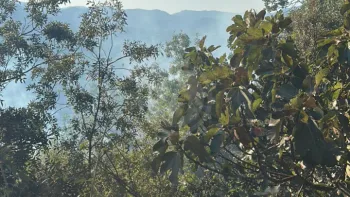 Incendie à Lunas-les-Châteaux - Hérault - 4 juillet 2026 - Feux de forêts et d'espaces naturels