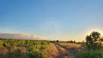 Incendie à Trévillach - Pyrénées-Orientales - 4 juillet 2026 - Feux de forêts et d'espaces naturels