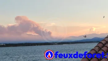 Incendie à Trévillach - Pyrénées-Orientales - 4 juillet 2026 - Feux de forêts et d'espaces naturels