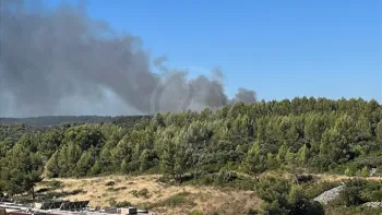 Incendie à Milhaud - Gard - 5 juillet 2026 - Feux de forêts et d'espaces naturels