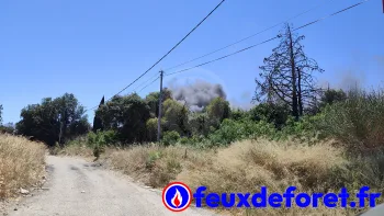 Incendie à Milhaud - Gard - 5 juillet 2026 - Feux de forêts et d'espaces naturels